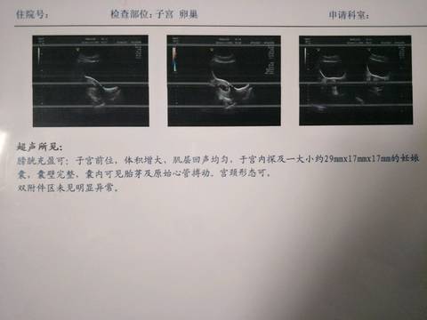 journal_insert_pic_740299589