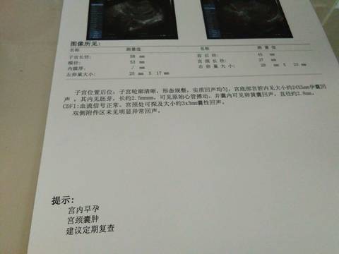 journal_insert_pic_739924103