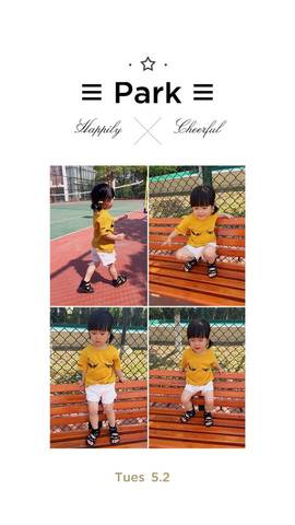 journal_insert_pic_739812882