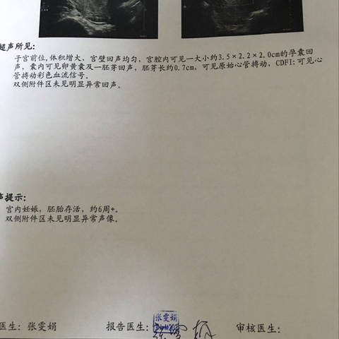 journal_insert_pic_740154378