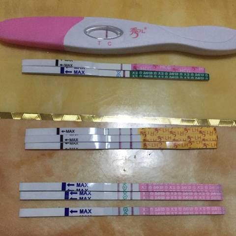 journal_insert_pic_740254416