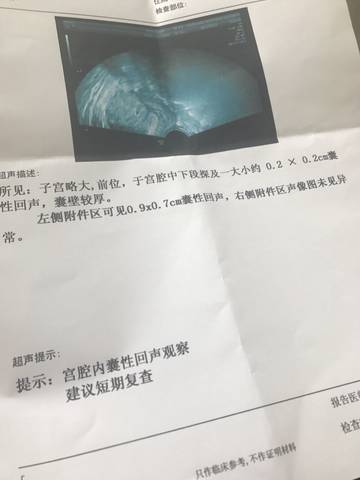 journal_insert_pic_740472155