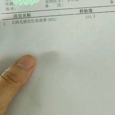 journal_insert_pic_740780263