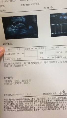 journal_insert_pic_741411638