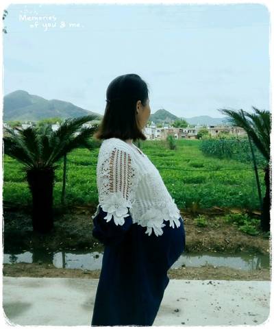 journal_insert_pic_741517472