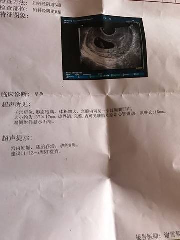 journal_insert_pic_742230612