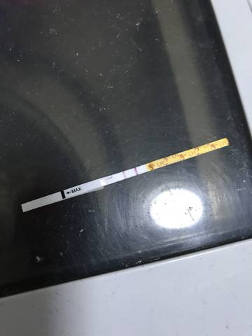 journal_insert_pic_743407005