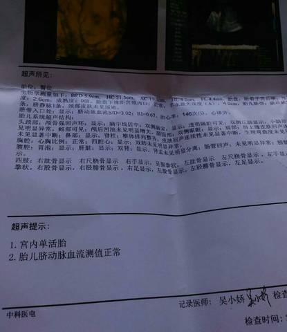 journal_insert_pic_743483057