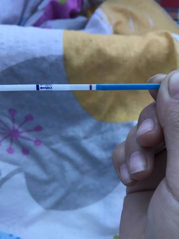 journal_insert_pic_743692458