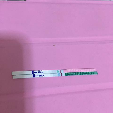 journal_insert_pic_744507085