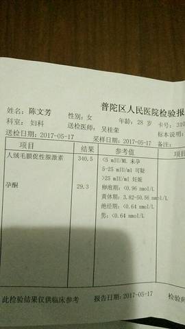 journal_insert_pic_745720256