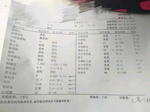 journal_insert_pic_745651656