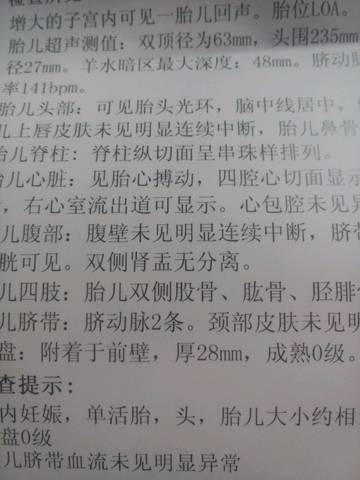 journal_insert_pic_746203299