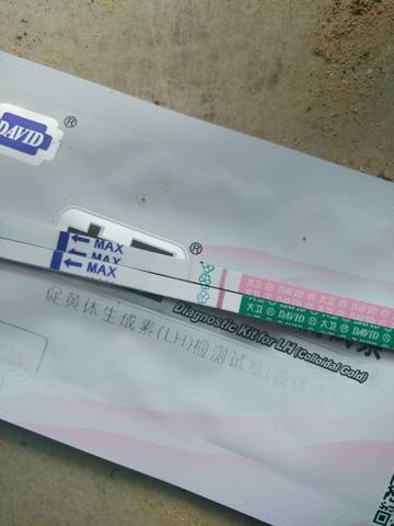 journal_insert_pic_747727145
