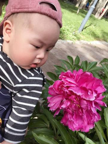 journal_insert_pic_749521323