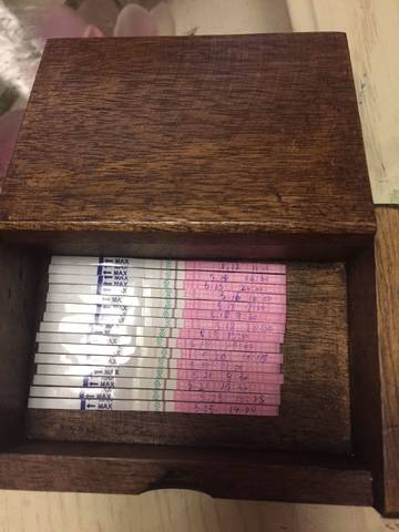 journal_insert_pic_750825753