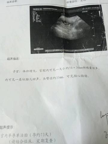 journal_insert_pic_750553397