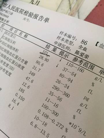 journal_insert_pic_750810690
