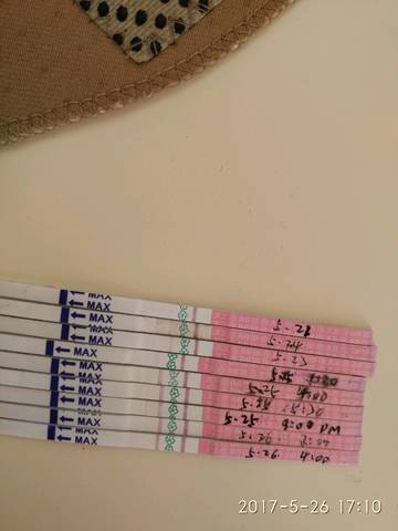 journal_insert_pic_751569787