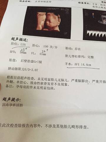 journal_insert_pic_751614511