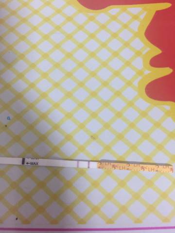 journal_insert_pic_753293572