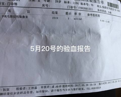 journal_insert_pic_753263959