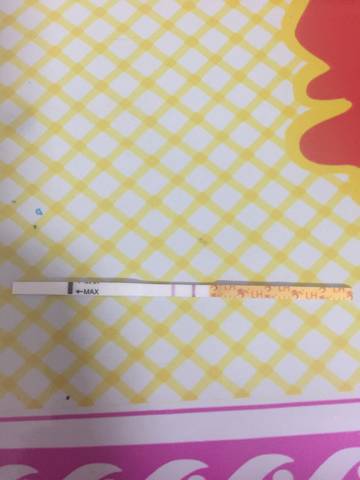 journal_insert_pic_753293585