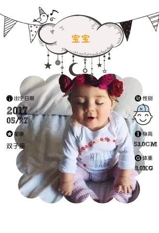 journal_insert_pic_754135105