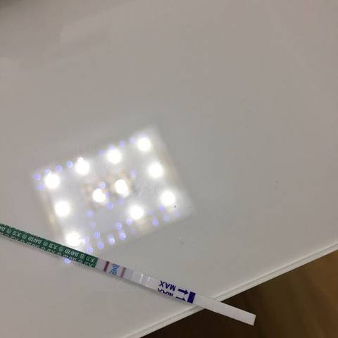 journal_insert_pic_754033412