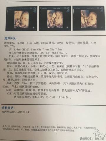 journal_insert_pic_754684054