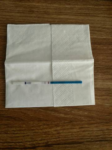 journal_insert_pic_754559077