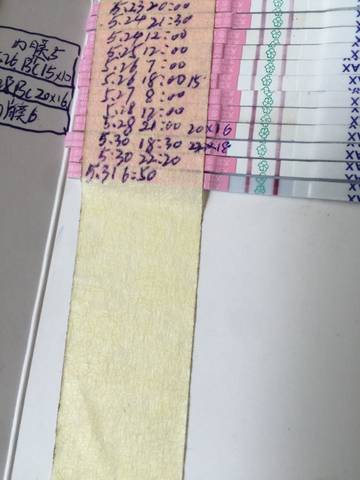 journal_insert_pic_755326725