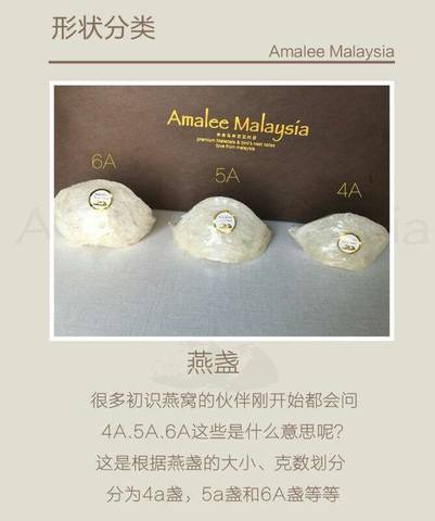 journal_insert_pic_756977066