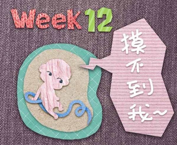 记录记录我的孕早期～愿大家都好孕