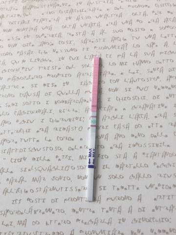 journal_insert_pic_758461476