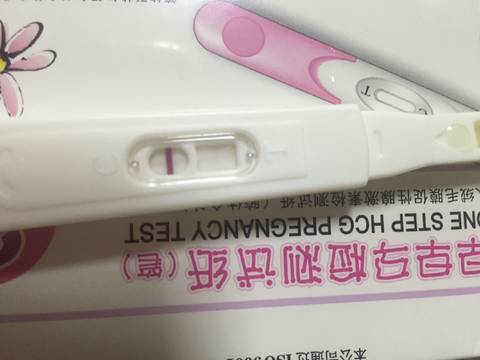 journal_insert_pic_759112478