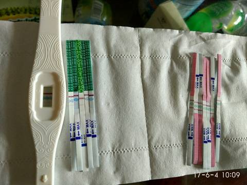 journal_insert_pic_759520957