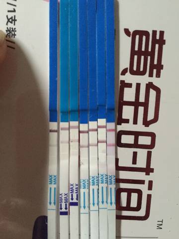 journal_insert_pic_760384752