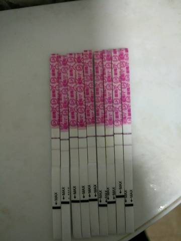 journal_insert_pic_761056500