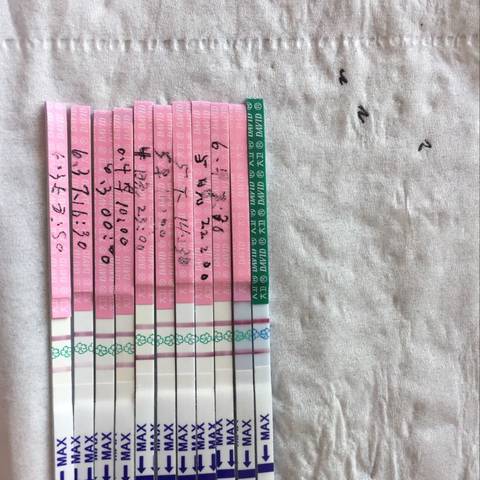 journal_insert_pic_761416858
