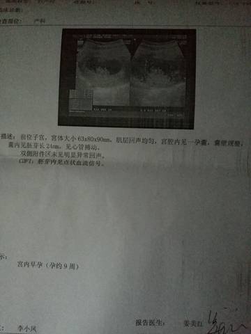 journal_insert_pic_762712476