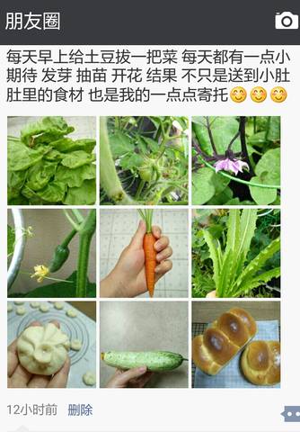journal_insert_pic_762569910