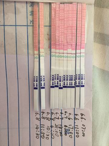 journal_insert_pic_763279847