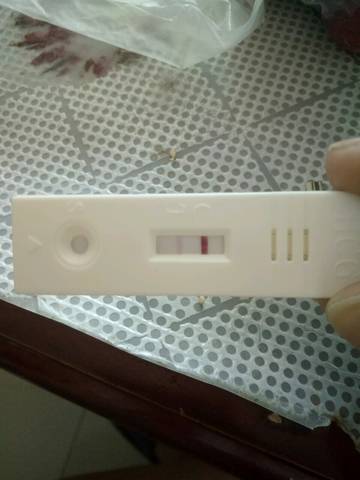 journal_insert_pic_764614867