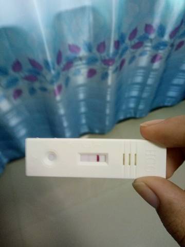 journal_insert_pic_764614842