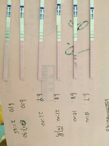 journal_insert_pic_765130227