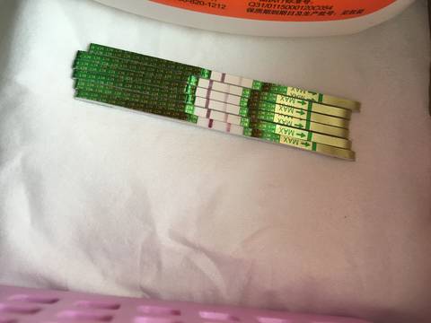journal_insert_pic_764884160