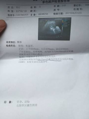 journal_insert_pic_766281209