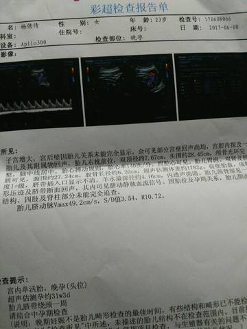 journal_insert_pic_767352591