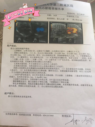 journal_insert_pic_766969392